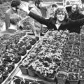 Stadsarchief Amsterdam start collectie cannabiscultuur