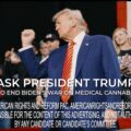 Cannabisbranche VS slijmt bij Trump met anti-Biden en Canada reclames