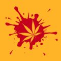 Slachting legale cannabismarkt Oklahoma door enorm overaanbod