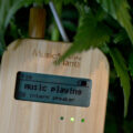 Music of the Plants speelt muziek