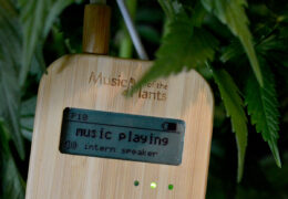 Music of the Plants speelt muziek