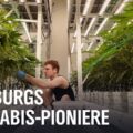 Docu • De lastige geboorte van een Hamburgse cannabis social club