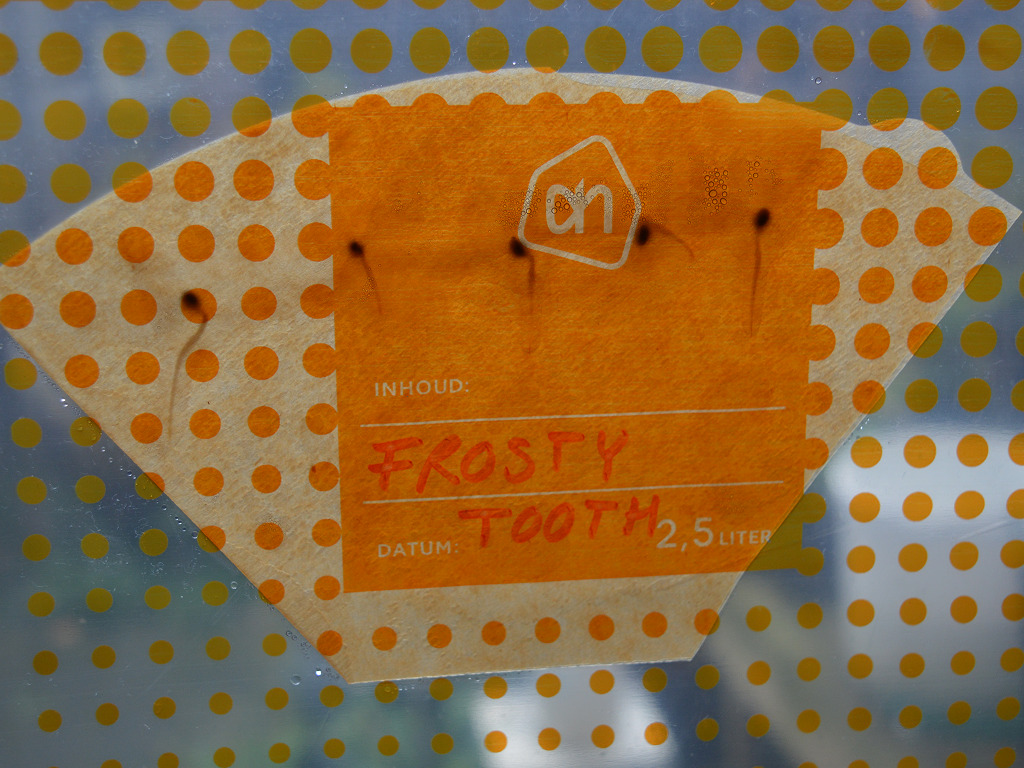 wietzaadjes ontkiemd in een koffiefilter