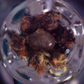 Dit is cannabis ASMR: <i>slow motion bowl art</i> die een reactie bij je oproept