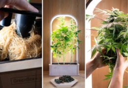 GreenBox Plus