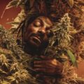 Snoop Dogg eert wiet met video 'Last Dance with Mary Jane'
