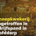 Cannabis foto’s • 5 actuele beelden uit de oorlog tegen wiet (#43)