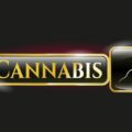 Studie VS: cannabisgebruik tast kwaliteit sperma niet aan