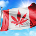 Legalisatie cannabis Canada: iets meer consumptie, minder misbruik