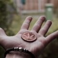 Wietbelasting bezorgt 100 gezinnen 3 jaar lang basisinkomen van $750