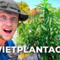 Geweldige wiet docu uit Jamaica van YouTuber Govert Sweep
