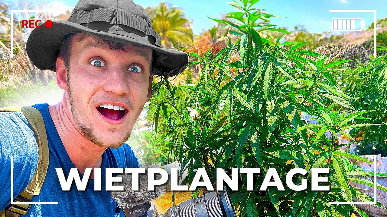Geweldige wiet docu uit Jamaica van YouTuber Govert Sweep - CNNBS.nl