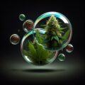 Wiet pauze nodig? Volg dit stap-voor-stap cannabis detox plan
