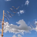 The Weedy Garden test het effect van electroculture