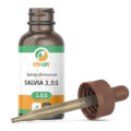 Salvia tinctuur, spirituele traditie in een alledaags flesje