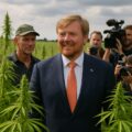 Uniek werkbezoek: Koning Willem-Alexander duikt de hennep in