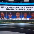 Mike Tyson en andere topsporters eisen cannabis hervorming van Trump