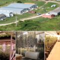 Cannabis foto’s • 6 actuele beelden uit de oorlog tegen wiet (#53)