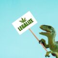 Stichting Mediwiet en VOC eisen gelijke rechten voor cannabisconsument