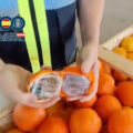 Shit: 1500 kilo hasj onderschept! Vermomd als Spaanse sinaasappels 🍊