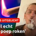 Omroep Brabant over legale nederhasj + VOC campagne nieuwe soorten hasj