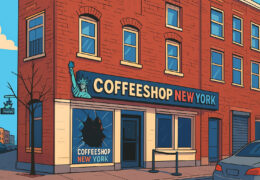 Sukkel slaat ruit in bij coffeeshop New York in Rotterdam