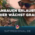 Kijk, hoe deze Duitse cannabisclub haar eerste legale wiet oogst