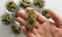 Wat is cannabis curen