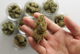 Wat is cannabis curen