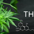 Wat is THC? …en nog veel meer over TetraHydroCannabinol