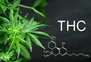 een wietplant en moleculaire structuur van THC