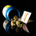 Ook legale RECREATIEVE cannabis vermindert aantal opioïden-doden