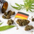 In de kiem gesmoord: hoe Duitse cannabis clubs stuklopen op 'regels'