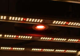 LED Bar en COB LED spot