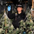 Cannabis foto’s • 6 actuele beelden uit de oorlog tegen wiet (#71)
