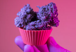 Edibles met THC wiet cannabis