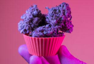 Edibles met THC wiet cannabis