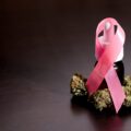 Studie: cannabiscrème verlicht pijn en verbetert fysiek bij borstkanker