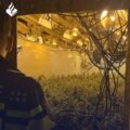 Cannabis foto’s • 6 actuele beelden uit de oorlog tegen wiet (#76)