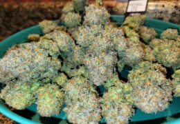 Apple Strudel Auto wiet