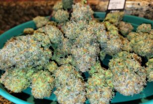 Apple Strudel Auto wiet