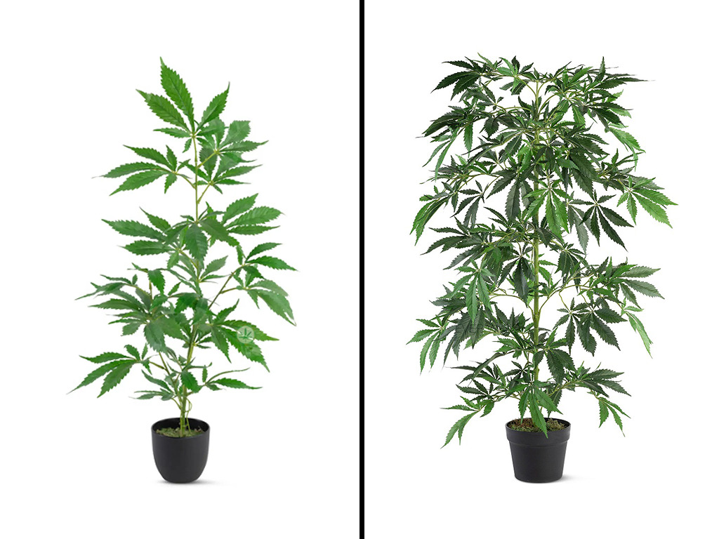 Kunst wietplanten klein, groot