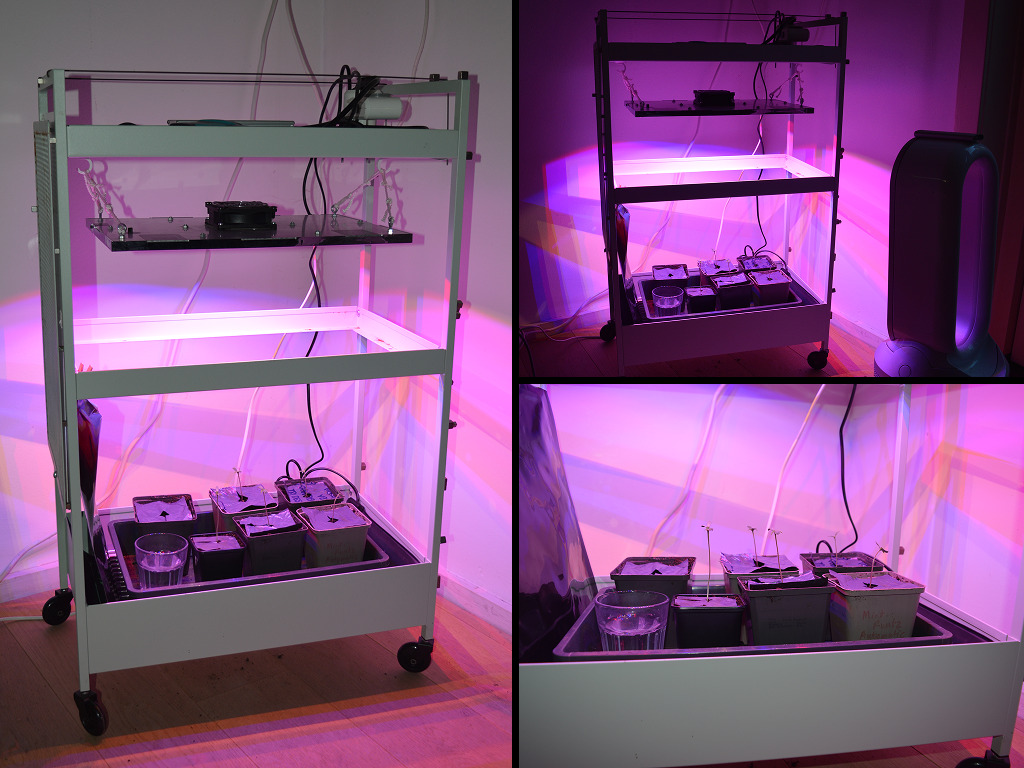 voorgroeikastje Dokter Groen