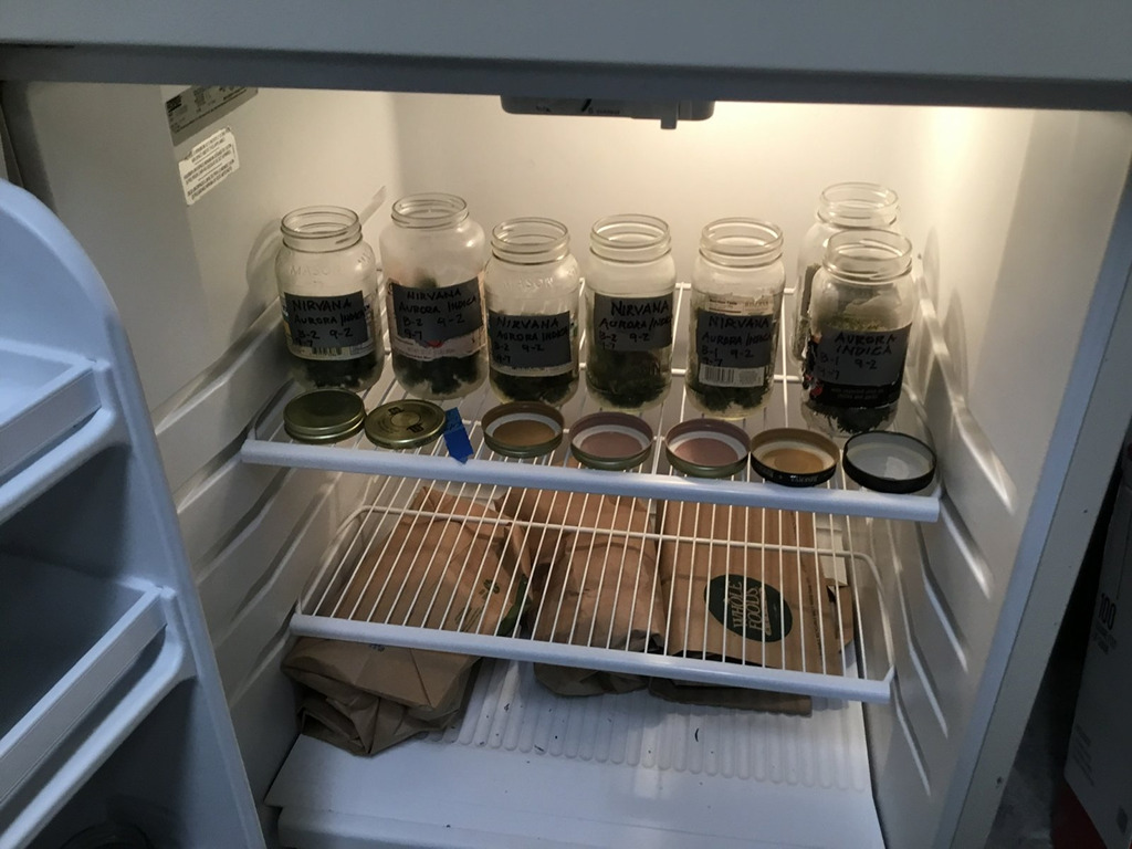 DrZiggy low and slow drying