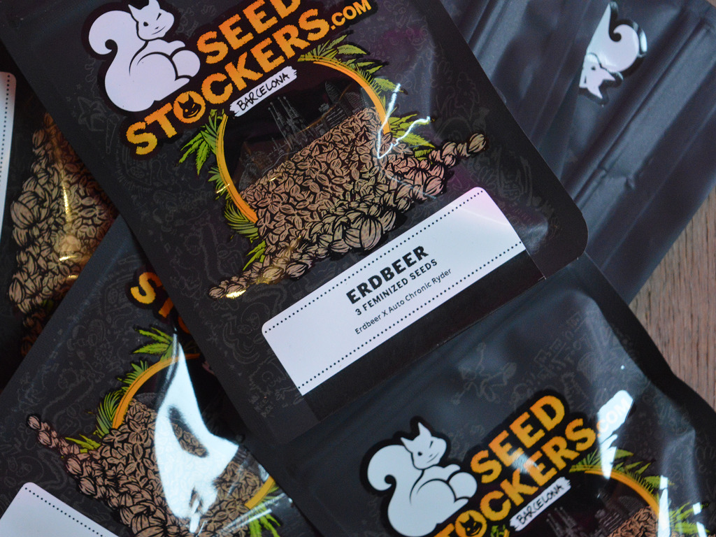 Erdbeer gefeminiseerde wietzaadjes