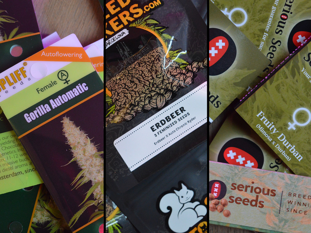 Gorilla Automatic, Erdbeer, Fruity Durban wietzaden