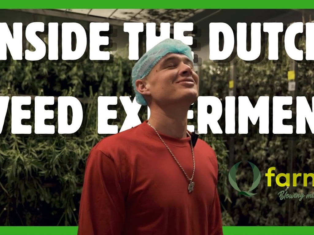 Q-Farms: hoe is de ‘Q-uality’ van teler #7 van het wietexperiment?