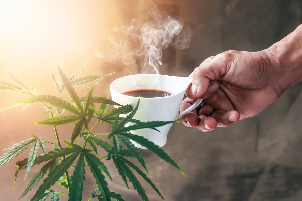 Burgemeester: ‘Groningen krijgt zo snel mogelijk 3 coffeeshops erbij’