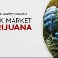 CBS Evening News duikt in de veranderde cannabisindustrie