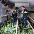 Cannabis foto’s • 6 actuele beelden uit de oorlog tegen wiet (#88)